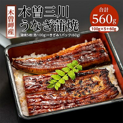 【2025年6月中旬発送】木曽岬産「木曽三川うなぎ」うなぎ蒲焼5枚各100g+きざみ60g付【配送不可地域：離島】【6648317】