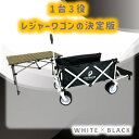 【ふるさと納税】ピクニCAR WHITE×BLACK 1台+テーブル(BLACK)SET【1322060】
