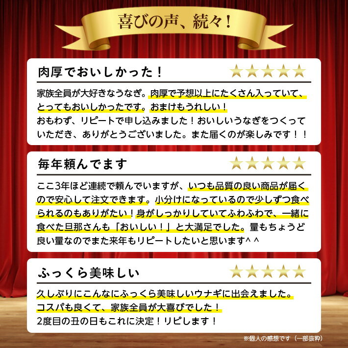 【ふるさと納税】木曽岬産「木曽三川うなぎ」うなぎ蒲焼5枚(各100g)+おまけ(60g)付【配送不可地域：離島】【1028066】