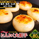 【ふるさと納税】もちもち皮のにんにく丸餃子(20個)×4袋 計2.24kg(単月&選べる定期便/毎月 隔月 3ヶ月)【配送不可地域:離島】【G1538412】