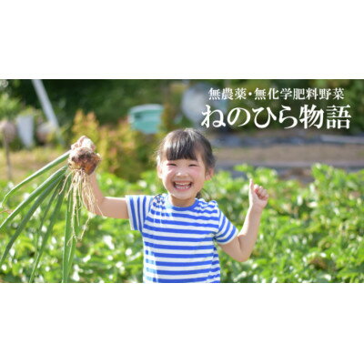 【ふるさと納税】自然のまま育てる農業体験とおみやげ野菜セット【1407469】