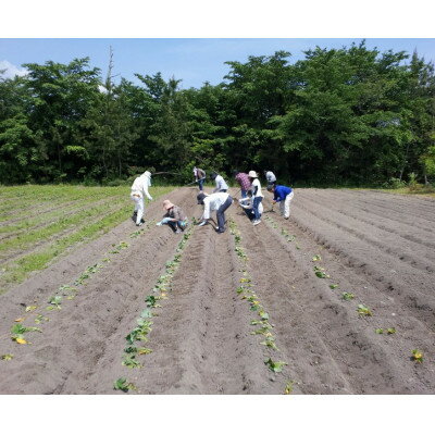 【ふるさと納税】菰野町で農業体験(野菜のお土産付)&キャンプのセットプラン【1414651】