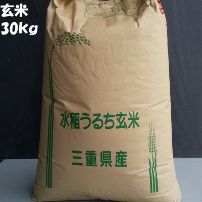 【ふるさと納税】地域慣行普通栽培コシヒカリ 玄米 30kg(30kg×1袋)【1274949】