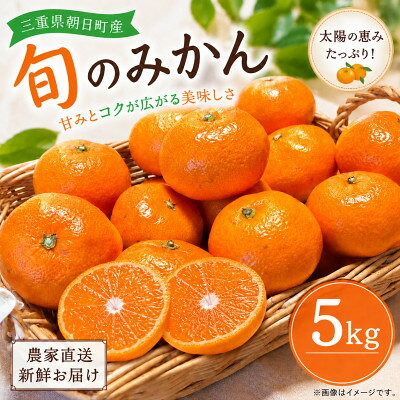 朝日町の太陽が育てた旬のみかん 約5kg サイズ混合【2026年11月下旬より発送】【1753384】