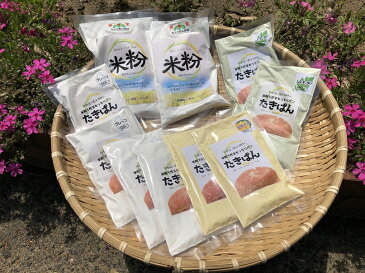 【ふるさと納税】炊飯器でつくる米粉のグルテンフリーたきぱんセット gj-03