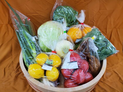 旬の野菜と果物のふるさと便 gf-06