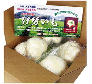 【ふるさと納税】伊勢 いも 皮むき 済み 真空 パック tb-01 冷蔵 伊勢芋 山芋 ヤマイモ ご飯のお供 三重県多気町