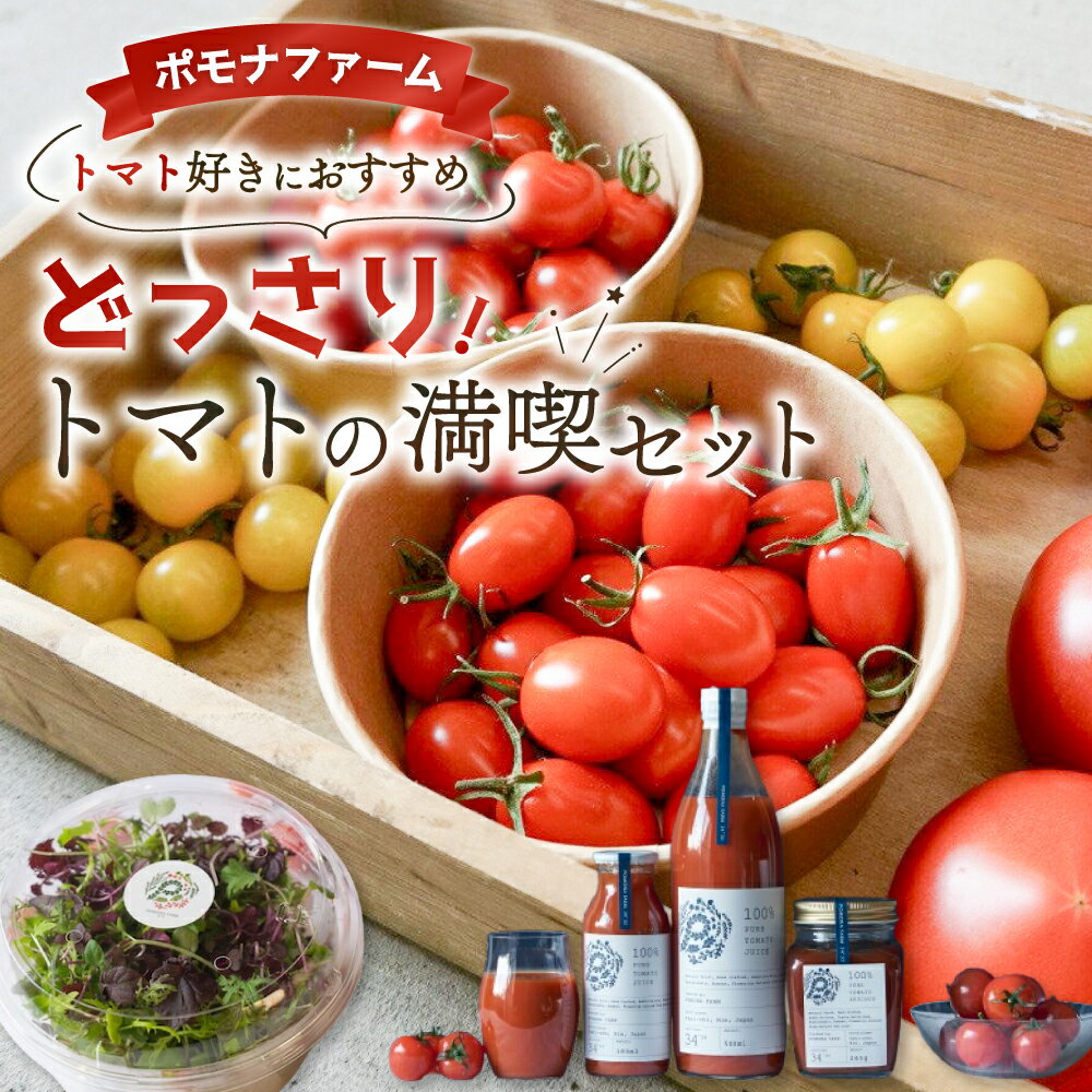 【ふるさと納税】どっさりトマトの満喫セット トマト好きの方はぜひ! トマト 完熟トマト ミニトマト 大玉トマト トマトケチャップ トマトジュース セット 詰め合わせ リコピン 薄皮 野菜 ベジタブル 果物 完熟 美味しい 人気 新鮮 やさい サラダ 三重県 多気町 PF-09
