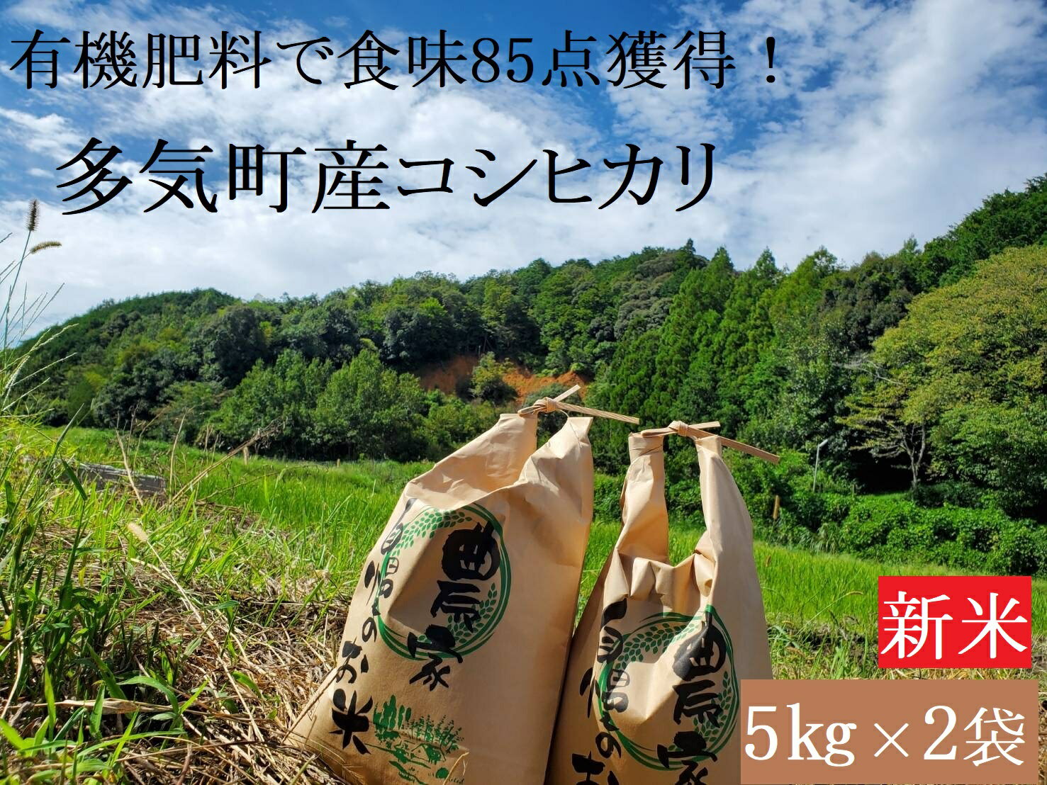 [令和6年産新米] 食味85点を獲得!有機肥料で育てたコシヒカリ 10kg(5kg×2)減農薬 YR-01-2024