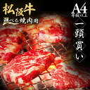【ふるさと納税】松阪牛 極上霜降り カルビ 焼肉用 500g 焼肉のたれ付 極上の柔らかさ 化粧箱入り 柔らかい 松坂牛 松阪肉 高級ブランド牛 バラ ハネシタ 三角バラ 焼き肉 自宅用 贈答品 ギフトA4 A5 特産松阪牛 お歳暮 お中元 牛肉 とろける 和牛 三重県 NTY