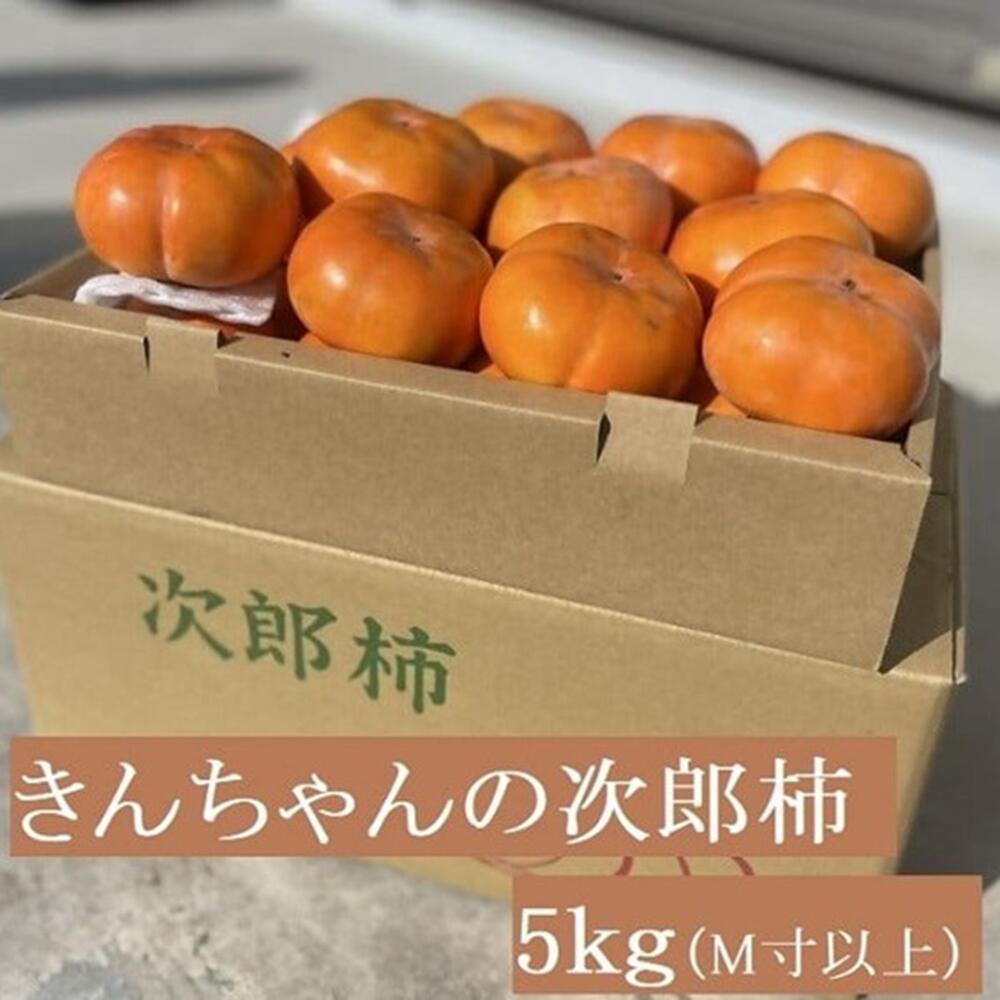 柿づくり40年!きんちゃん農園の多気町産次郎柿 5kg 次郎柿 たねなし 柿 かき フルーツ 干し柿 先行 先行予約 三重県 多気町 KCN-01