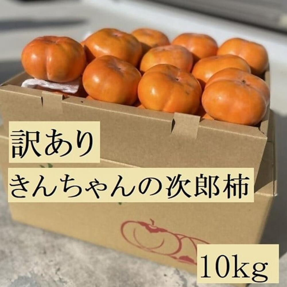 【ふるさと納税】柿づくり40年！きんちゃん農園の訳あり次郎柿 10kg 次郎柿 たねなし 柿 かき フルーツ 家庭用 訳あり 規格外 わけあり 不揃い ふぞろい 種なし 干し柿 先行 先行予約 三重県 多気町 KCN-03