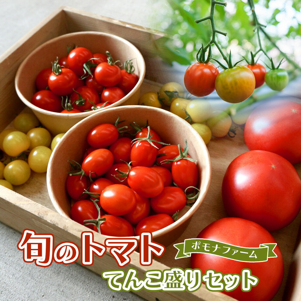 旬の トマト てんこ盛りセット pf-01 国内産 野菜 ポモナファーム
