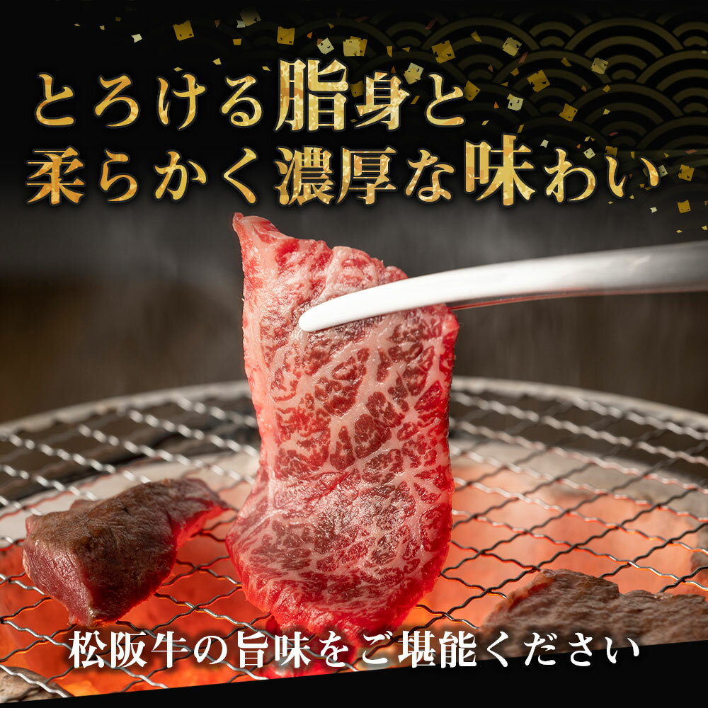 【ふるさと納税】 松阪牛 ハラミ （500g） SS‐25 国産牛 松阪牛 松坂牛 日本三大 高級和牛 黒毛和牛 ブランド牛 霜降り 冷凍 送料無料 牛 牛肉 肉 にく 大人気 贅沢 おすすめ 贈り物 リピート 瀬古食品 霜ふり本舗 三重県 多気町