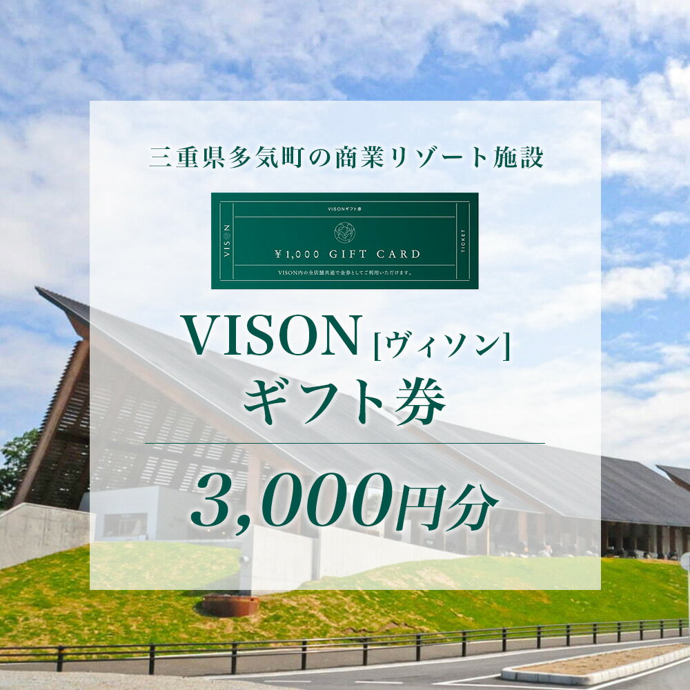 【ふるさと納税】 日本最大級 商業 リゾート施設 VISON [ ヴィソン ] ギフト 券 （3,000円分）| 宿泊 リゾート 食事 ホテル キャンピン..