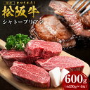 21位! 口コミ数「2件」評価「3」松阪牛 ヒレステーキシャトーブリアン 600g (約150g×4枚) 国産牛 和牛 ブランド牛 JGAP家畜・畜産物 農場HACCP認証農場 牛肉 肉 高級 人気 おすすめ 神戸牛 近江牛 に並ぶ 日・・・