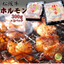 【ふるさと納税】 松阪牛 ホルモン 肉 牛 牛肉 和牛 ブランド牛 高級 国産 霜降り 冷凍 ふるさと 人気 焼肉　焼肉用 BBQ バーベキュー 内臓 大腸 小腸 赤千枚 ミックス もつ鍋 炒め トロトロ 希少 貴重 I79