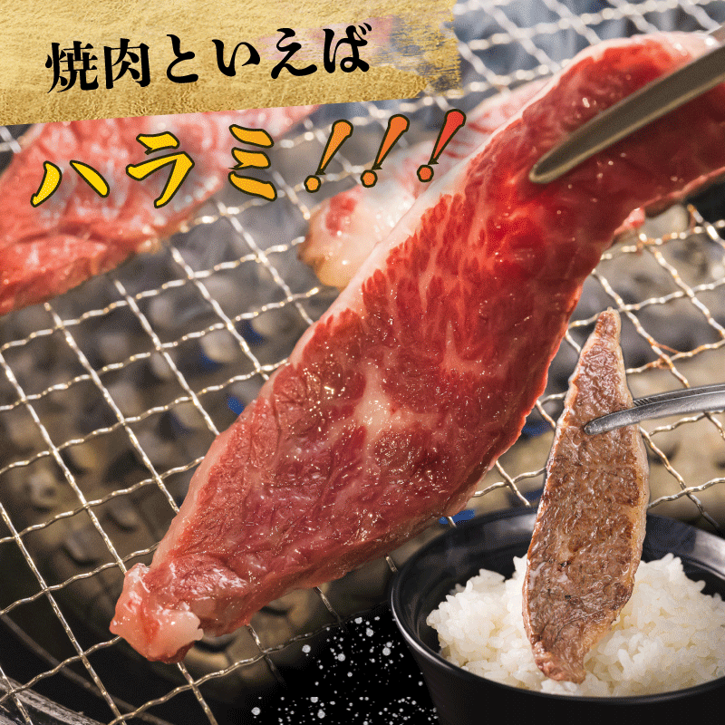 【ふるさと納税】 松阪牛 焼肉 （ハラミ） 500g 肉 牛 牛肉 和牛 ブランド牛 高級 国産 霜降り 冷凍 ふるさと 人気 焼肉 焼肉用 BBQ バーベキュー K10