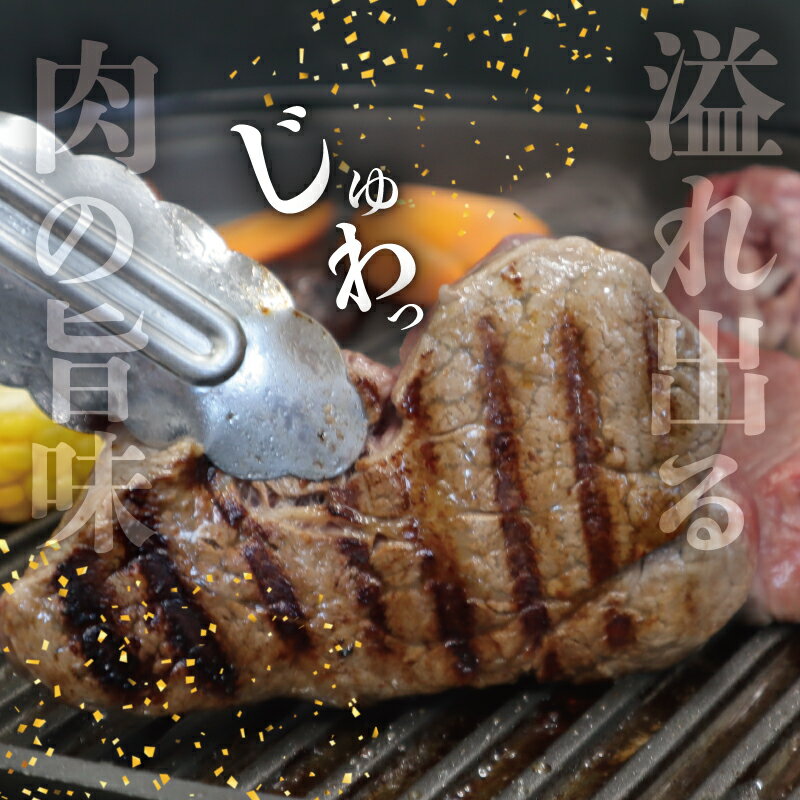 【ふるさと納税】 松阪牛 ヒレステーキ 600g（4枚） 肉 牛 牛肉 和牛 ブランド牛 高級 国産 霜降り 冷凍 ふるさと 人気 ヒレ ヒレ肉 フィレ フィレ肉 ステーキ E2