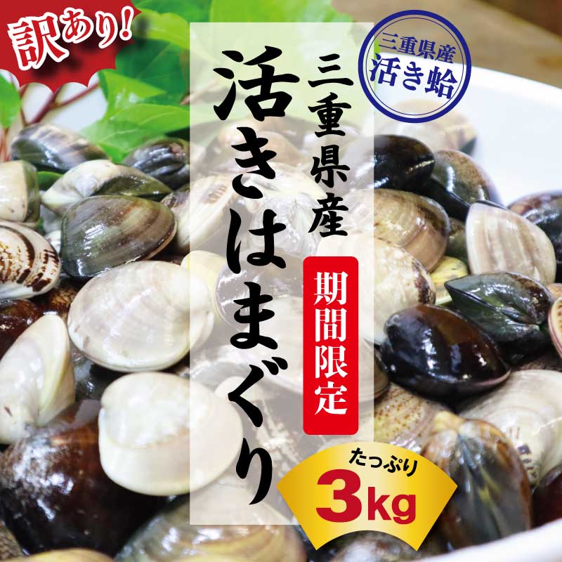 【ふるさと納税】【訳あり】 今だけ！ 大容量 3kg 三重県産 活き はまぐりのサムネイル