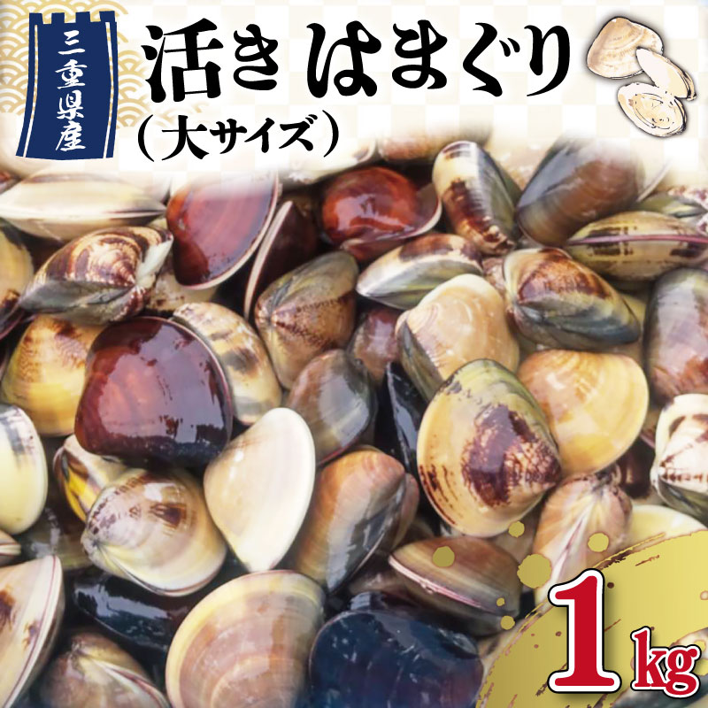 [しもい水産]三重県産 活きはまぐり 大サイズ 1kg はまぐり ハマグリ 天然はまぐり 活はまぐり 天然 砂抜き ふるさと納税 ふるさと 人気 網焼き 酒蒸し お吸い物 バーベキュー BBQ