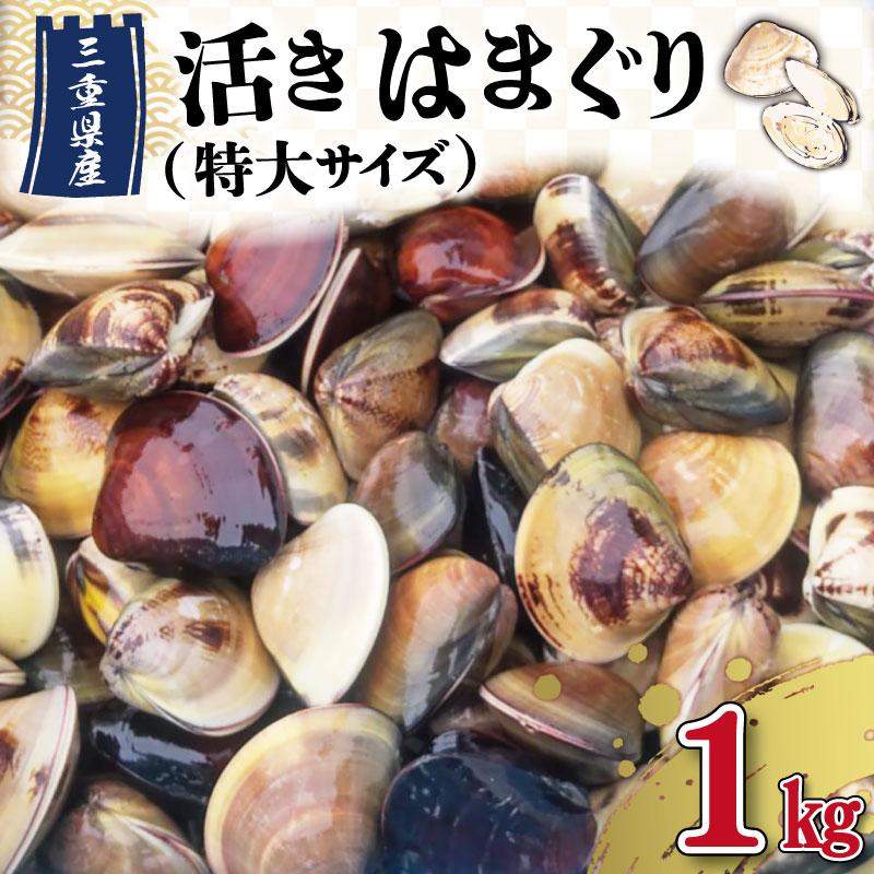 【しもい水産】三重県産 活きはまぐり 特大サイズ 1kg はまぐり ハマグリ 天然はまぐり 活はまぐり 天然 砂抜き ふるさと納税 ふるさと 人気 網焼き 酒蒸し お吸い物 バーベキュー BBQ