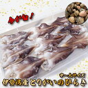 【ふるさと納税】【期間限定】とりがいのひらき 旬 おすすめ 中〜大サイズ とり貝 トリガイ 貝 鳥貝 急速冷凍 高タンパク 低脂肪 ヘルシー