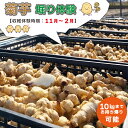 【ふるさと納税】 菊芋堀り 体験 (10kgまでお持ち帰りいただけます) 芋ほり 芋掘り お持ち帰り お土産 みやげ 粉末 パウダー イヌリン 国産 糖質 有機 血糖値 体型 血圧 いも 菊芋茶 菊芋チップス SDGs エコ サスティナブル 健康 話題 農薬不使用 食物繊維 野菜 サポート