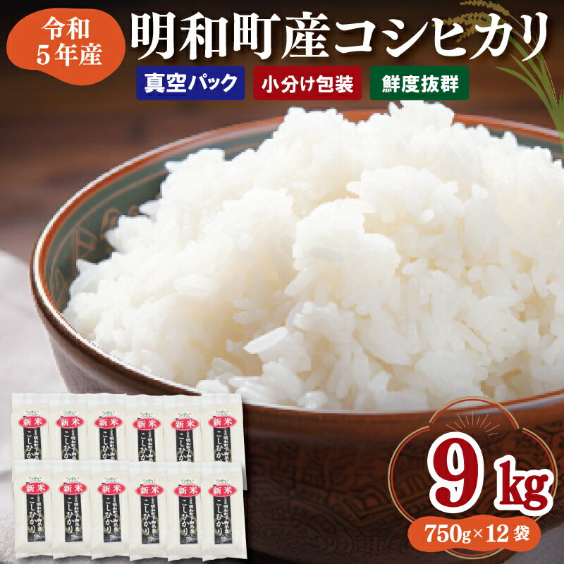 三重県産 山本農産のお米 750g × 12袋 真空パックでお届け コシヒカリ ふるさと納税 ふるさと 米 コメ こめ おこめ 贈答 贈り物 御祝い お祝い返礼品 人気 お取り寄せ 三重米 お米 新米 白米 精米 ブランド米 国産 皇室献上米 小分け 真空 保存