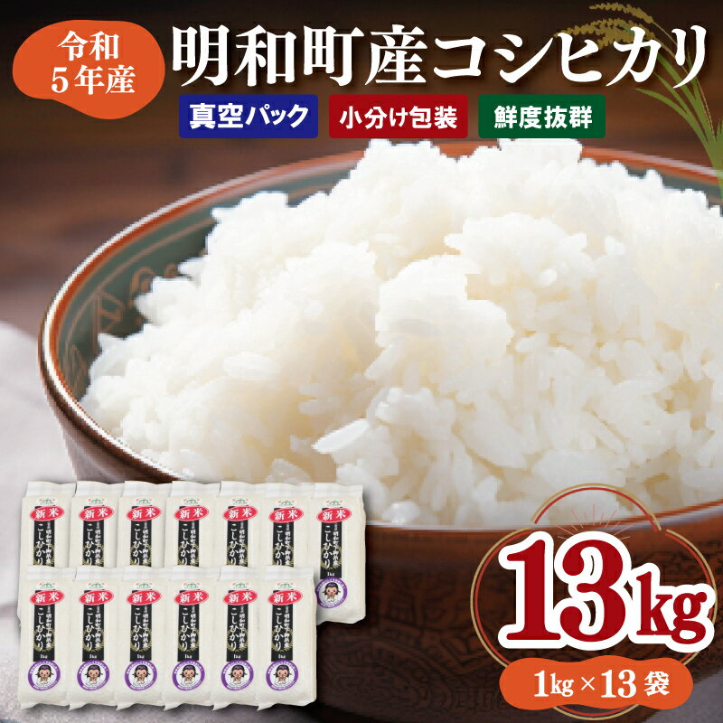 【ふるさと納税】 三重県産 山本農産のお米 1kg × 13袋 真空パックでお届け ...