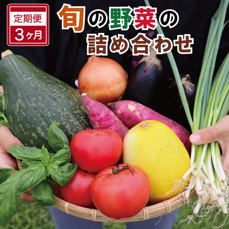 【ふるさと納税】 旬の野菜 詰め合わせ 6～7品以上 連続3か月 【 定期便 】 おまかせ セット 産地直送 新鮮 野菜 季節の野菜 旬 直売所 直送 連続 新鮮