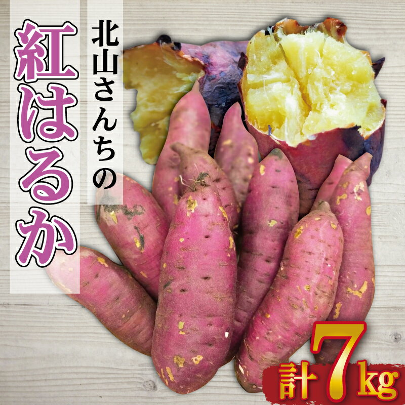 【ふるさと納税】 北山さんちのさつまいも 紅はるか 7kg さつまいも サツマイモ 薩摩芋 いも 芋 ほくほ..