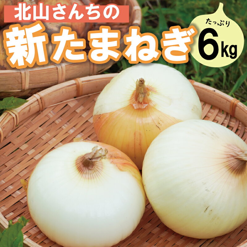 【ふるさと納税】北山さんちの新たまねぎ 6kg 産地直送 新鮮 野菜 季節の野菜 旬 直送 玉ねぎ タマネギ 新玉ねぎ 国産 生がおいしい フレッシュ オニオン サラダ 玉ねぎステーキ オニオンスープ 甘み ジューシー お取り寄せ kn1
