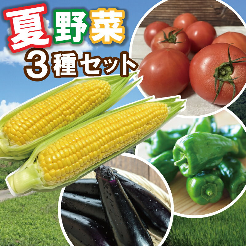 2位! 口コミ数「0件」評価「0」北山さんちの夏野菜 3種 セット 産地直送 新鮮 野菜 季節の野菜 旬 直送 おまかせ トマト ピーマン ナス とうもろこし 国産 生がおい･･･ 