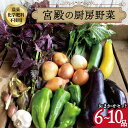 【ふるさと納税】 宮殿の厨房野菜 