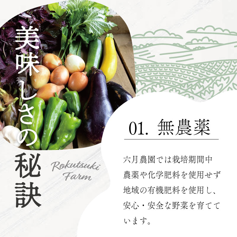 【ふるさと納税】 宮殿の厨房野菜 おまかせ定期便 （3回） 野菜 セット 産地直送 おまかせ 季節の野菜 旬 詰め合わせ 人気 限定 減農薬 有機栽培 オーガニック 明和町 国産 リピート 定期便