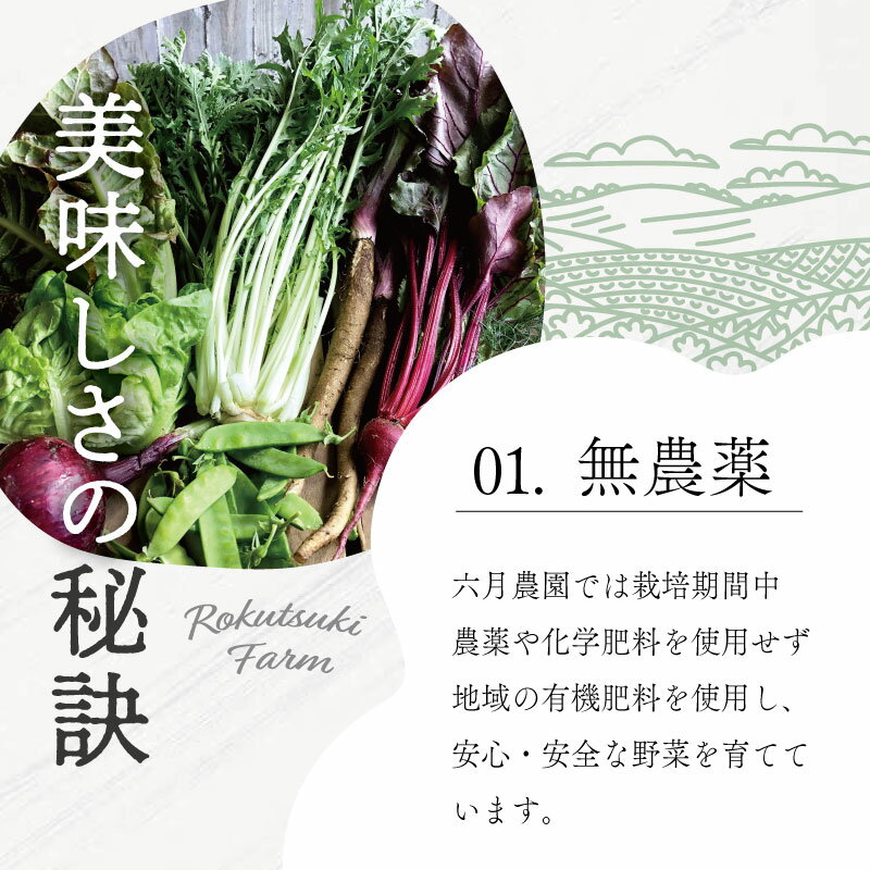 【ふるさと納税】 宮殿の厨房野菜 おまかせセット 野菜 セット 産地直送 おまかせ 季節の野菜 旬 詰め合わせ 人気 限定 減農薬 有機栽培 オーガニック 明和町 国産 リピート N5