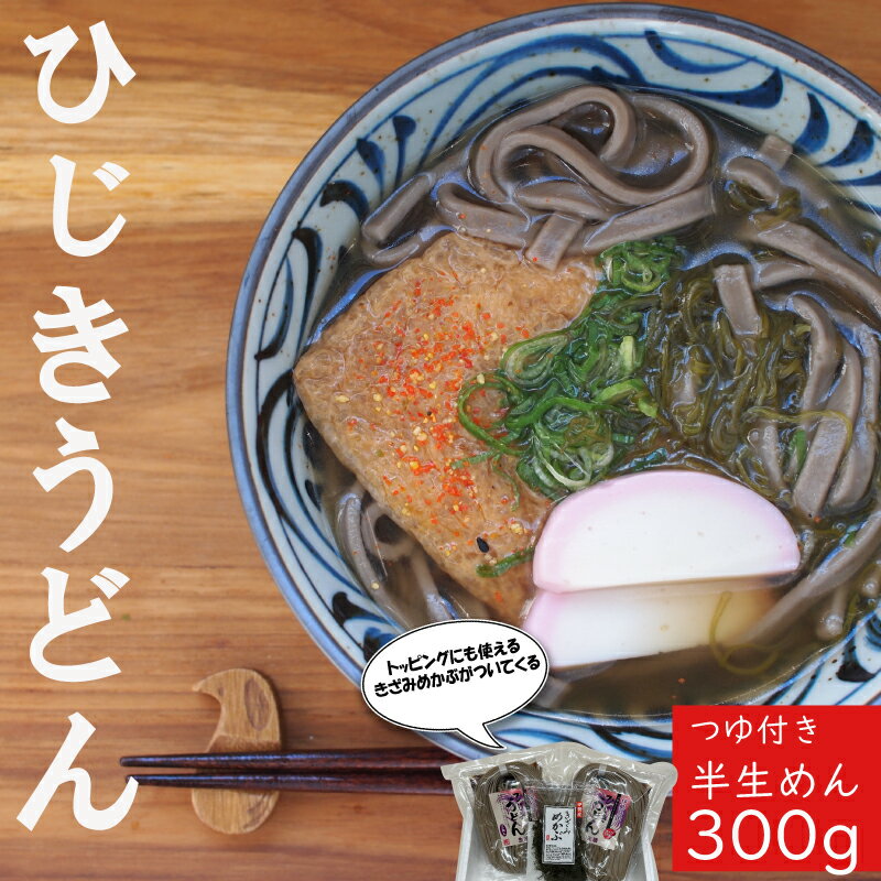 【ふるさと納税】 ひじきうどん 3食入り×2袋 つゆ付 ひじき うどん 半生 小麦 麺 粉もの めかぶ 海藻 セット