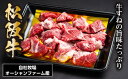 【ふるさと納税】SS01　松阪牛　すね（カレー・シチュー用）500g／（冷凍）瀬古食品　松阪肉　名産　お取り寄せグルメ　三重県　大台町