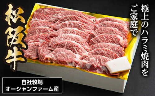 松阪牛 焼肉 ハラミ 500g/(冷凍)ギフト箱包装 瀬古食品 松阪肉 名産 お取り寄せグルメ JGAP認定 三重県 大台町