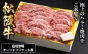 【ふるさと納税】SS01　松阪牛　焼肉　ハラミ　500g／（