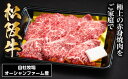 【ふるさと納税】SS01　松阪牛焼肉（赤身）　400g／（冷