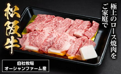 SS01　松阪牛焼肉（ロース）　500g／（冷凍）瀬古食品　JGAP認定　松阪肉　名産　お取り寄せグルメ　三重県　大台町