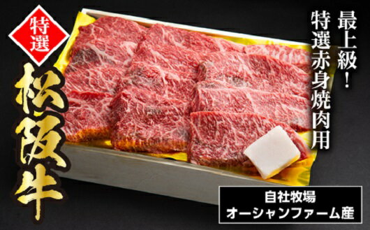 松阪牛焼肉(特選赤身) 500g/(冷凍)ギフト箱包装 瀬古食品 JGAP認定 松阪肉 名産 お取り寄せグルメ 三重県 大台町