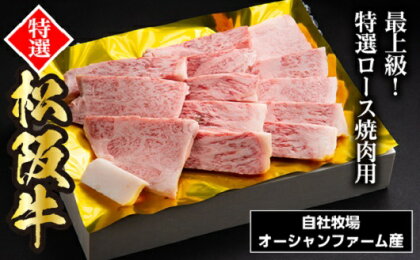 SS01　松阪牛焼肉（特選ロース）　500g／（冷凍）ギフト箱包装　瀬古食品　JGAP認定　松阪肉　名産　お取り寄せグルメ　三重県　大台町