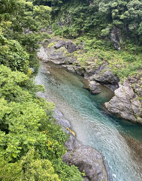 【ふるさと納税】(冷蔵)鮎約1.4kg木箱入/大森水産あゆお取り寄せグルメ川魚和食三重県大台町