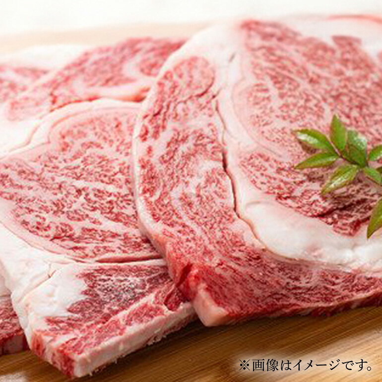 サンプル画像3