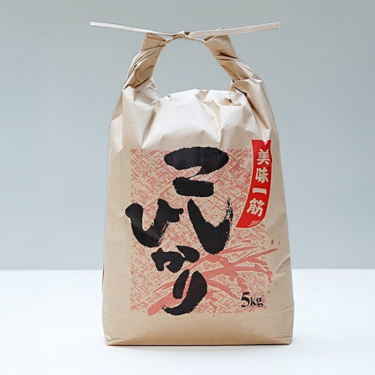 【ふるさと納税】こしひかり 精米 5kg ／ 積木商店 お米 白米 米 こめ ご飯 おいしいお米 三重県 大台町