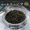 【ふるさと納税】冷凍 奥伊勢 キャビア / オーシャン・トラスト チョウザメ グルメ おつまみ 珍味 国産 清流水 自社加工 調味料 ギフト 贈答 産地直送 三...