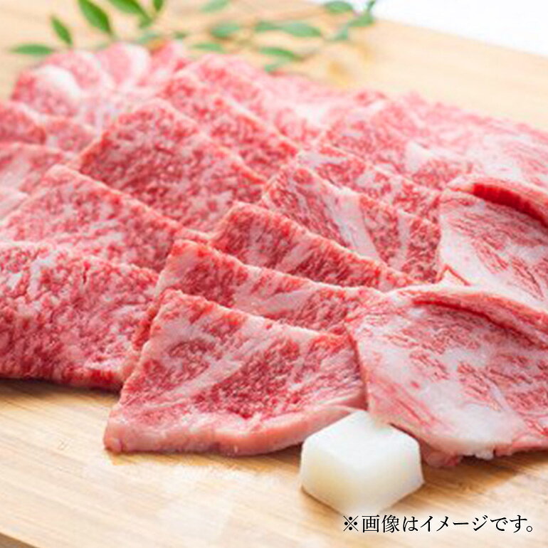 三重県大台町の画像3